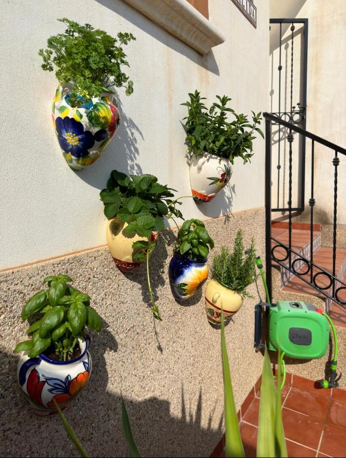 021 Casa Calida - Orihuela Costa Apartment Punta Prima  Exterior foto